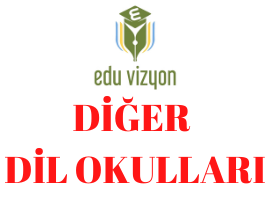 İngiltere Diğer Okullar