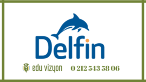 Delfin Dublin İrlanda dil okulu ücretleri